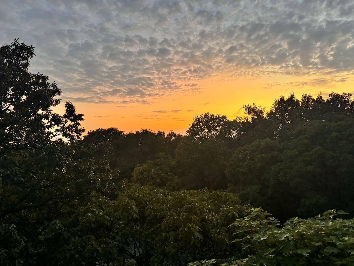临夏小满科技有限公司