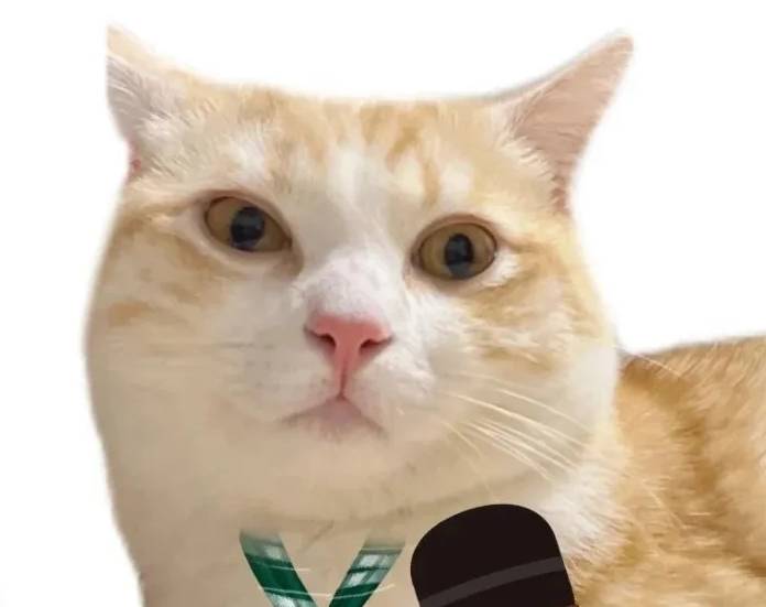 众合智界