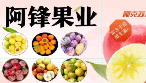 新疆特产专卖