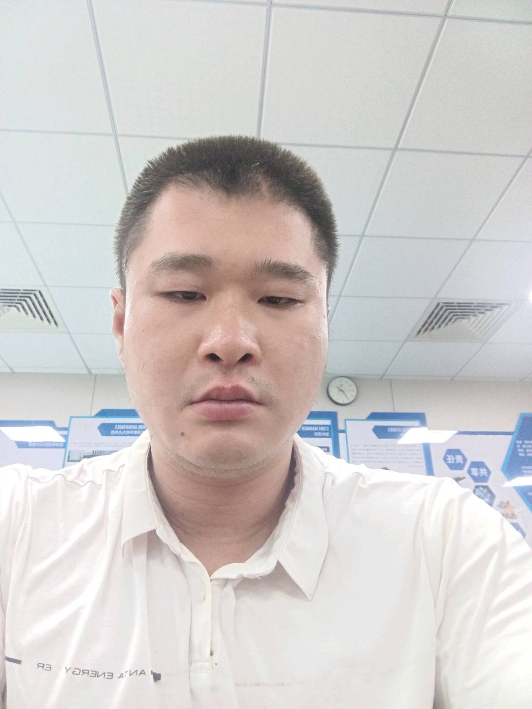 个体