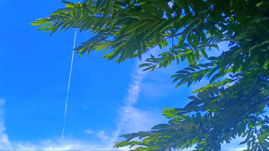 卓明科技有限公司