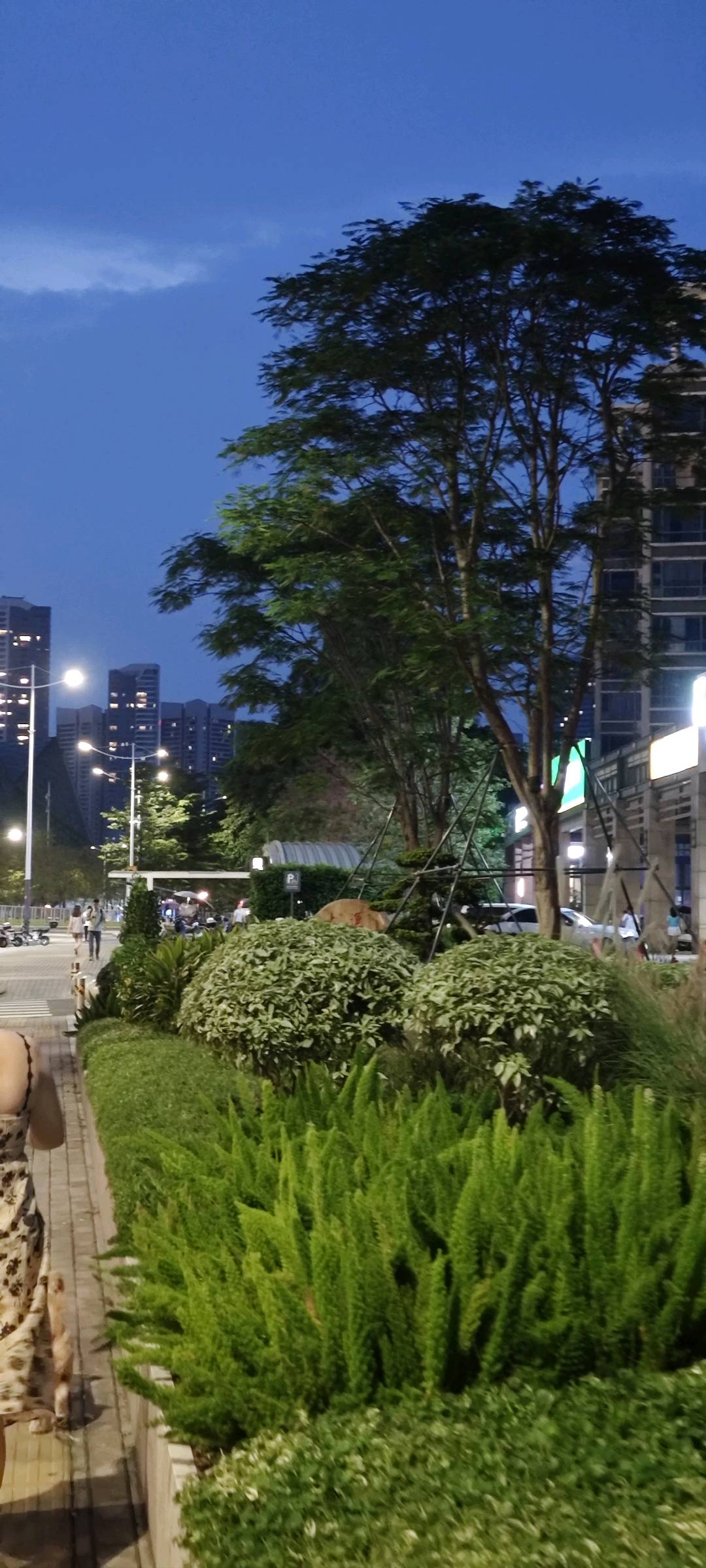 深圳推广无忧有限公司