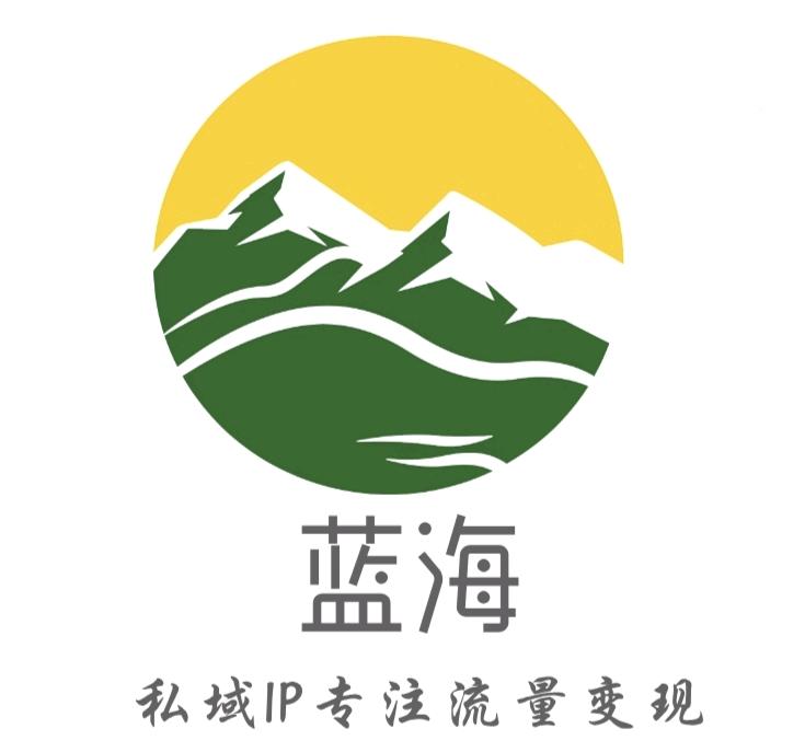 山东新蓝海文化有限公司