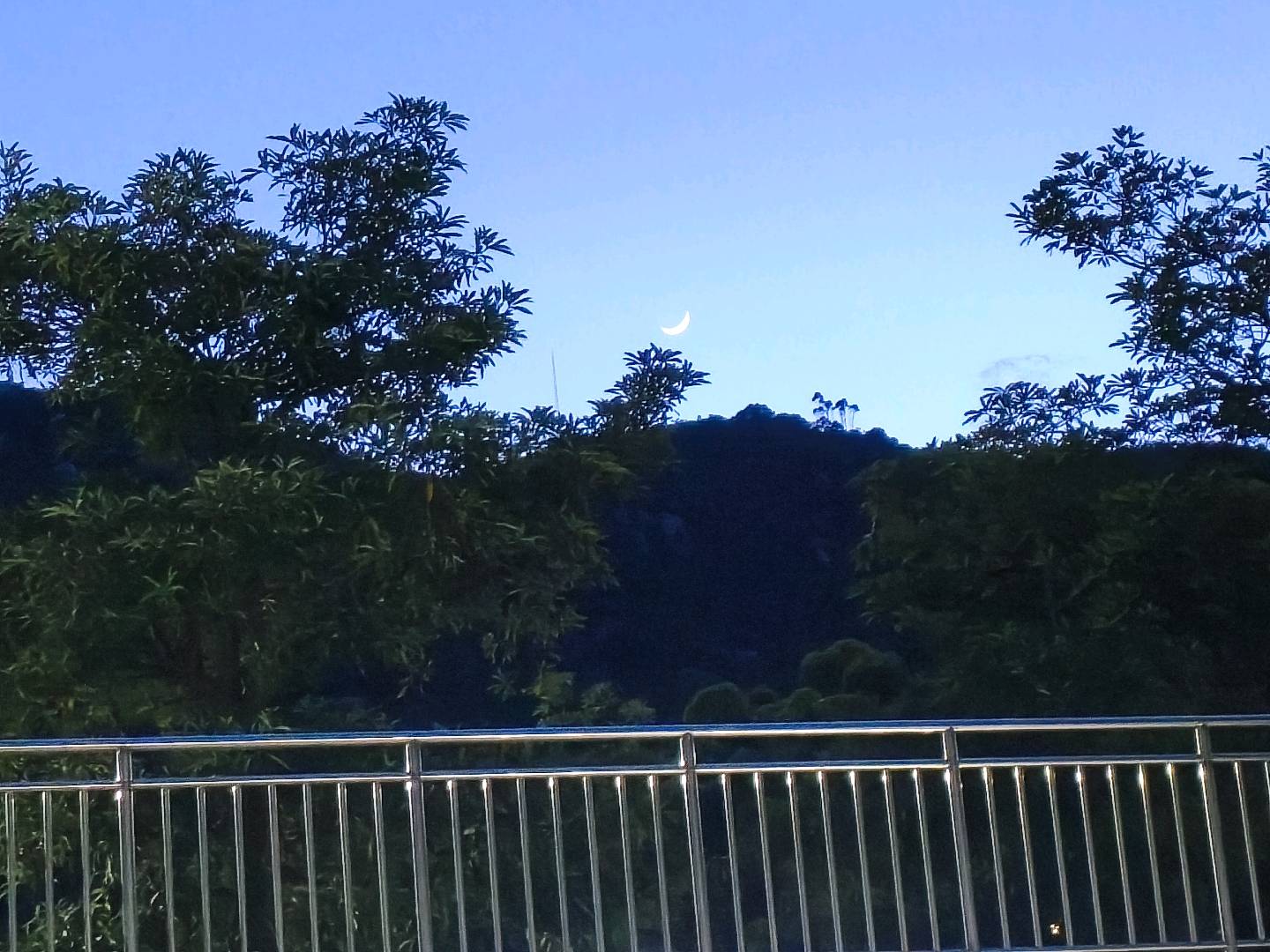 李