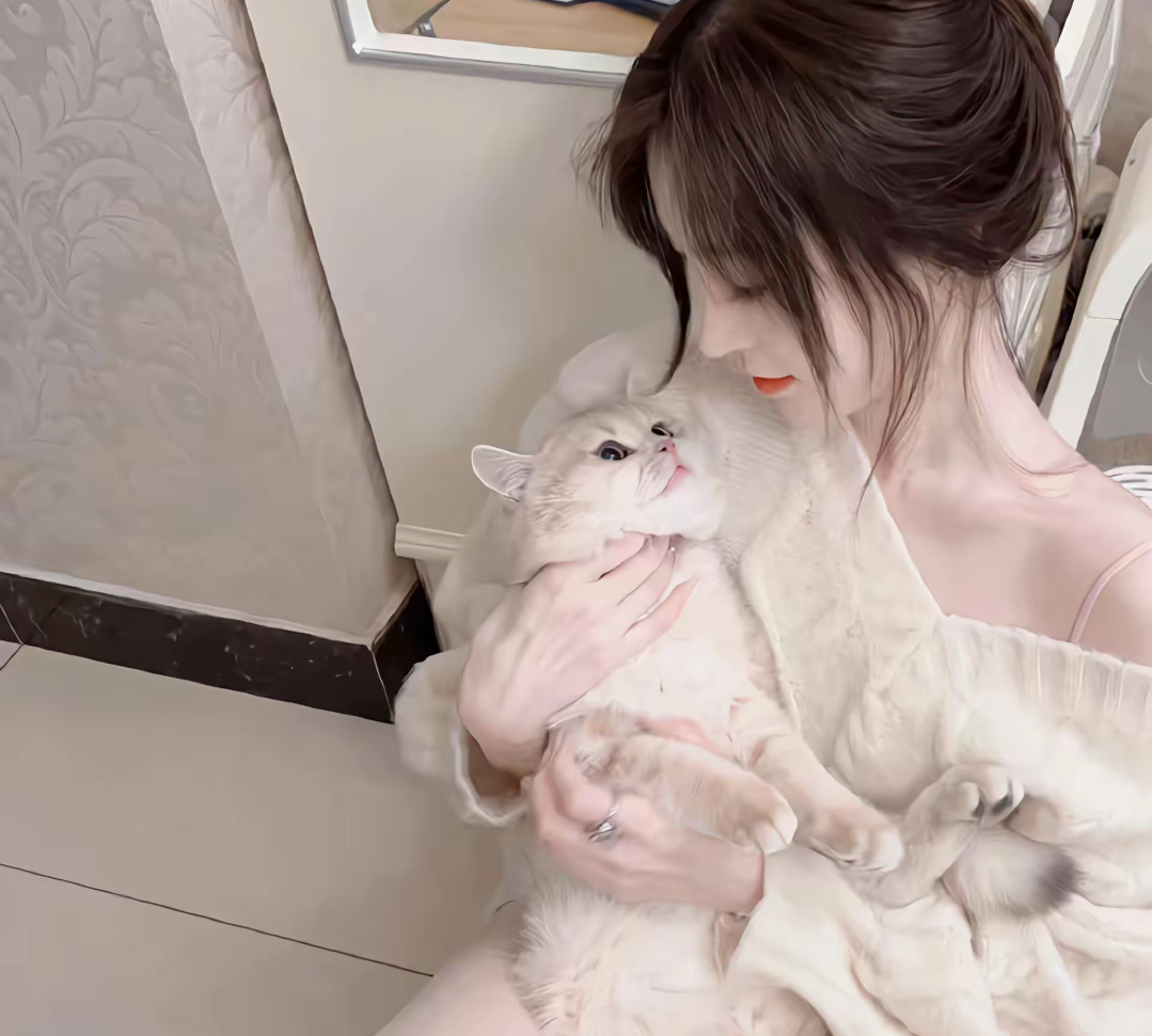 梦