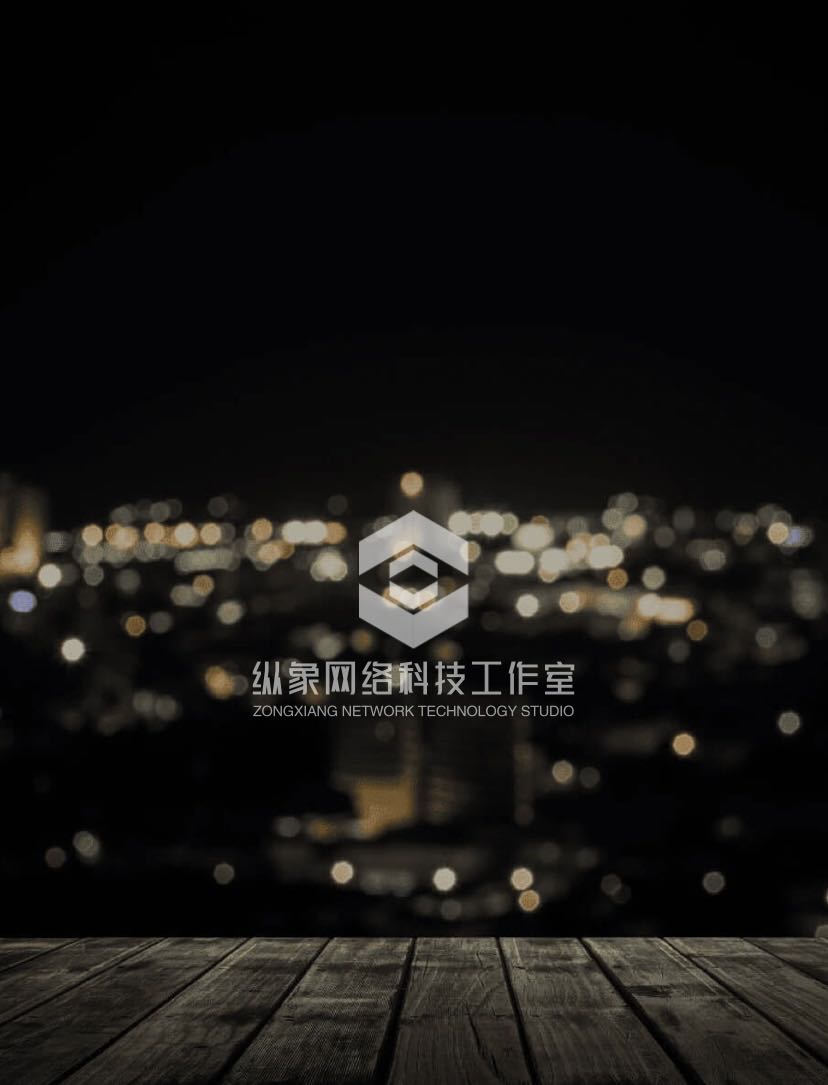 纵象网络科技工作室