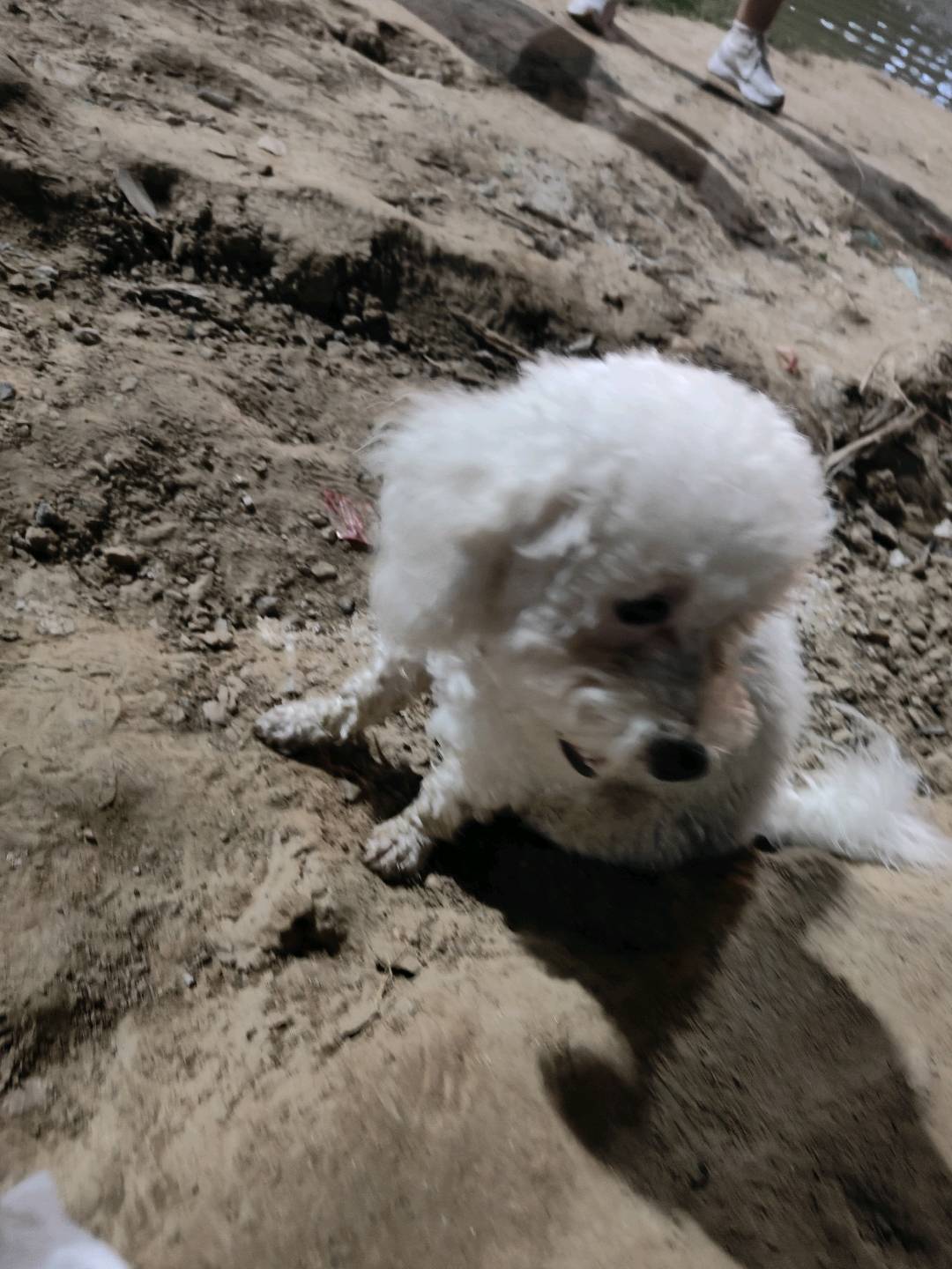 我有百人团队寻求一手项目老板