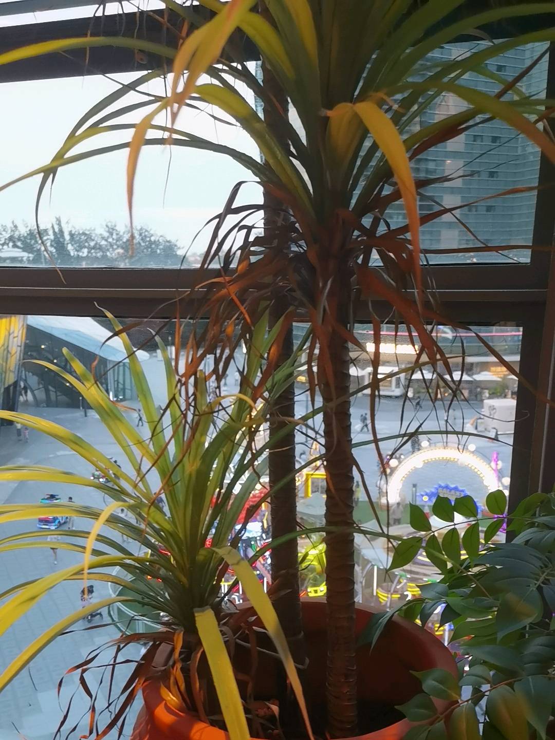 上市传媒公司寻找（品牌方）