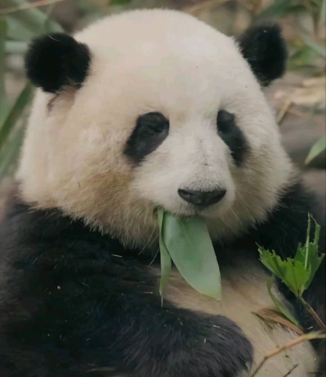 浏阳特产包裹代收点，0投入，日结