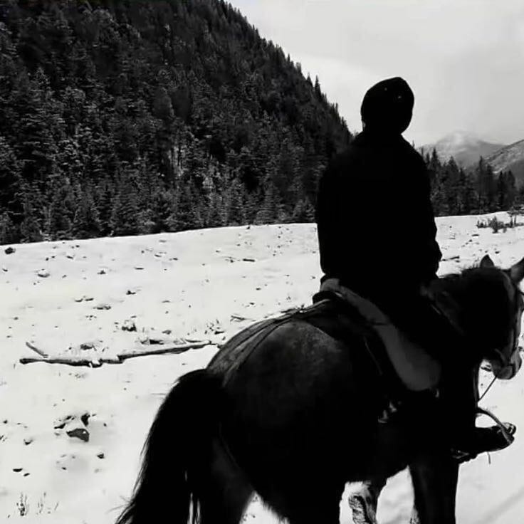 物流賠付一單999包賠