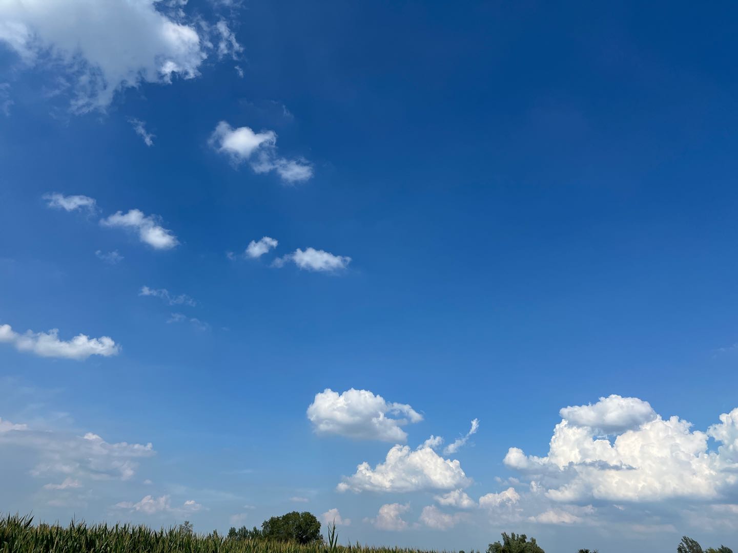 做的跨境无货源电商，不用囤货，不用供应链，不用自己发货。
