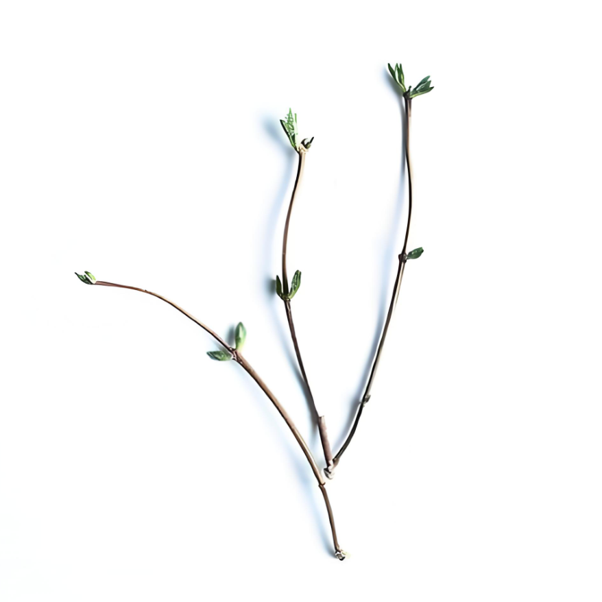 业务：开户及运营，行业：游戏、电商、APP工具、旅游、法律等