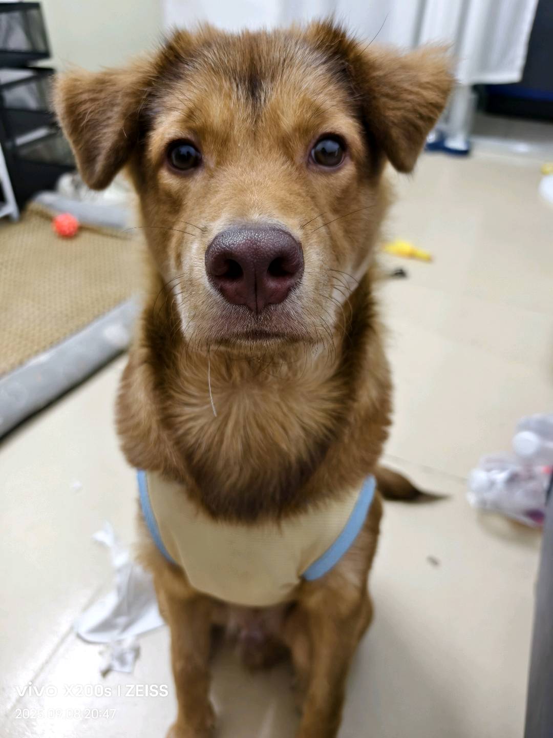 我有公众号推广流量，Aaso方式