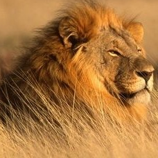 通联支付网路服务股份有限公司山东分公司