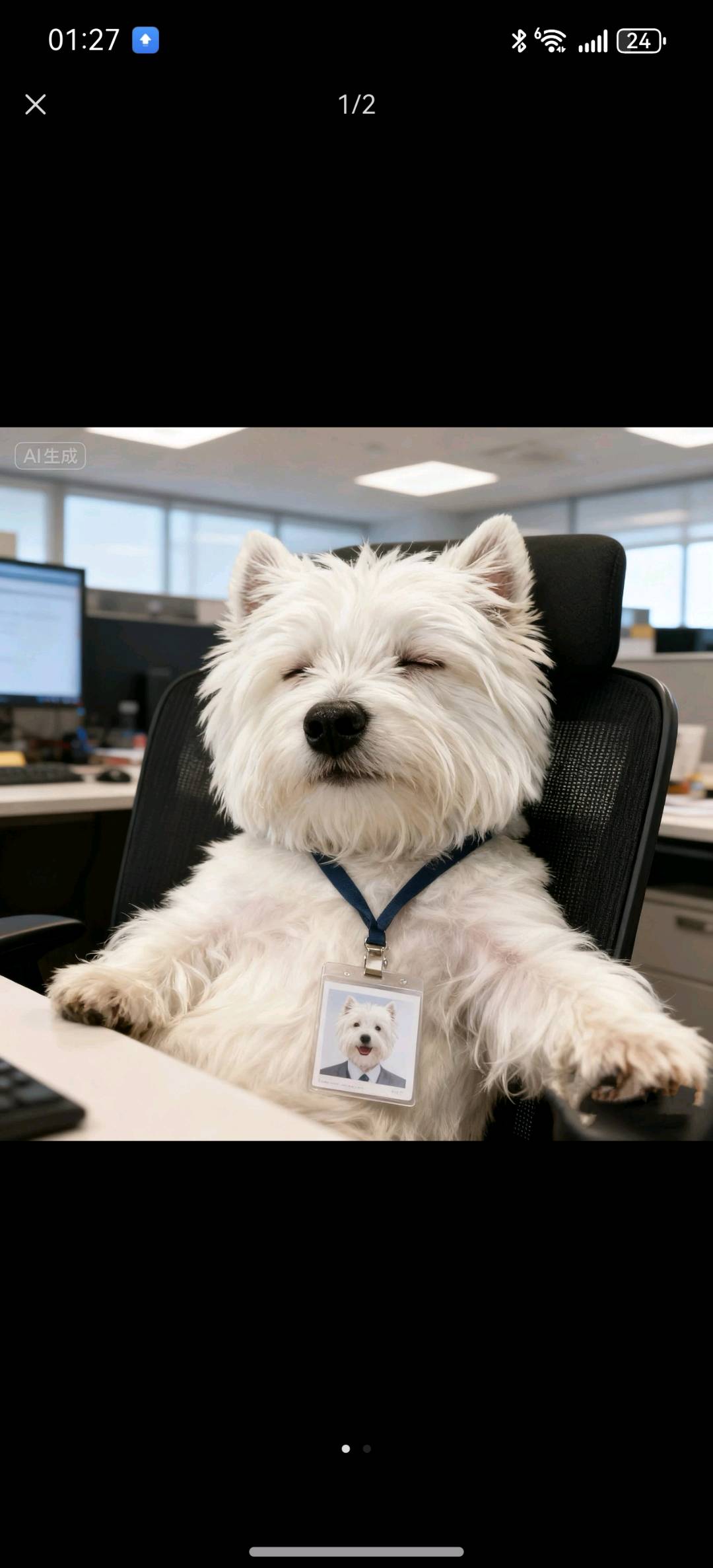 海外 TikTok 拉新推广