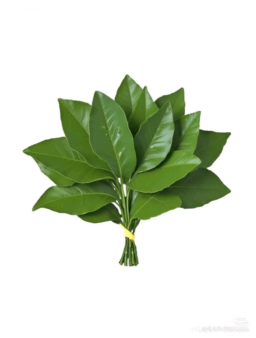 全身镜招合作，15元一块