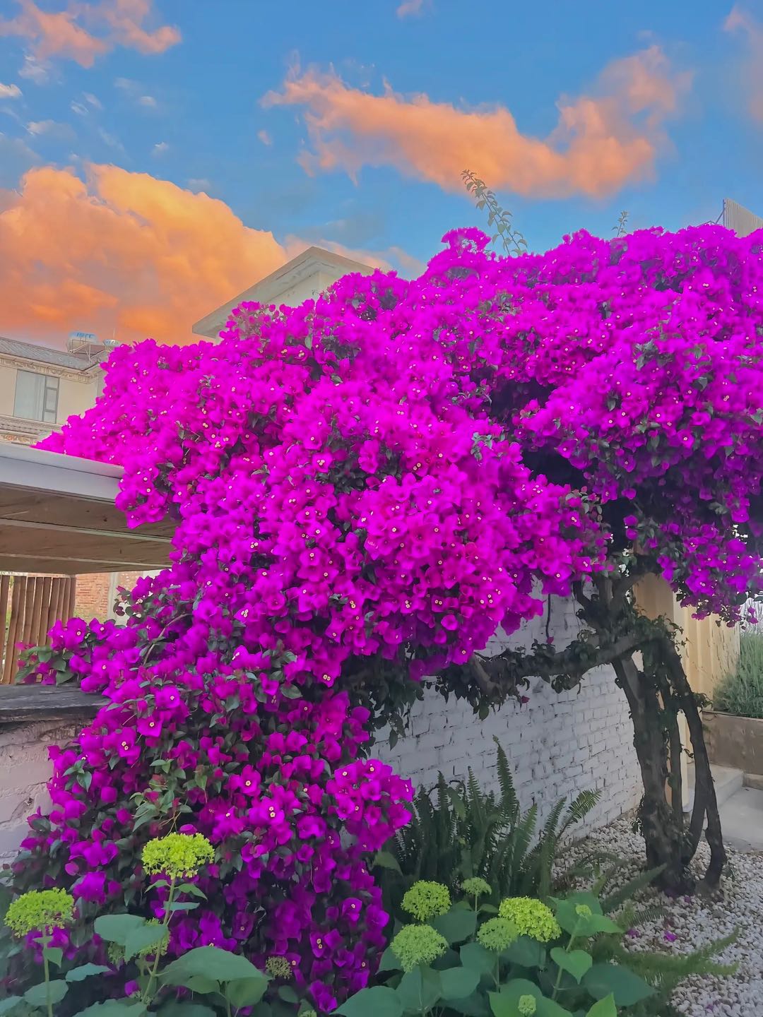 抖音快手小红薯评论