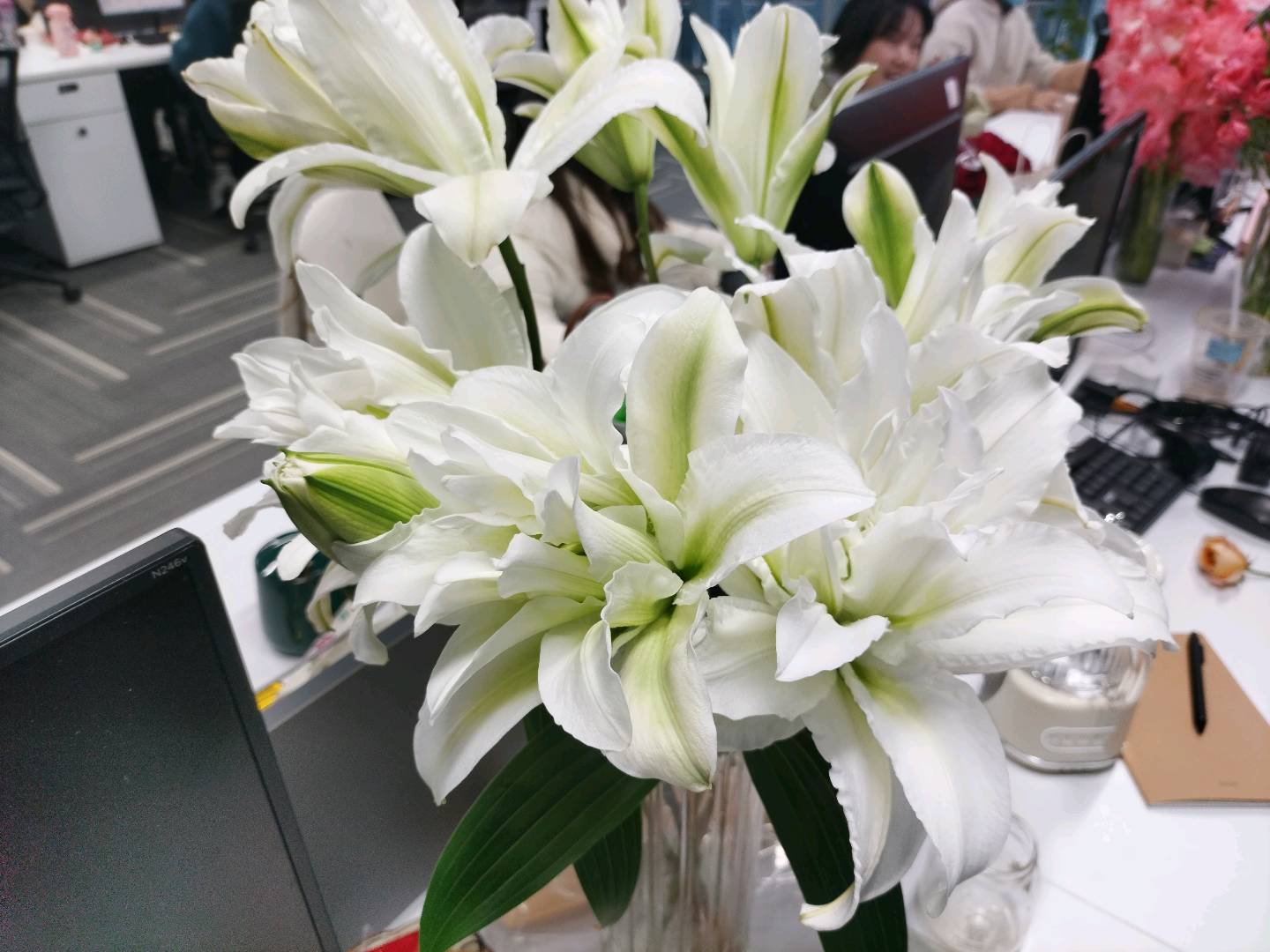 免费成为贝融助手代理，实现每天被动收入