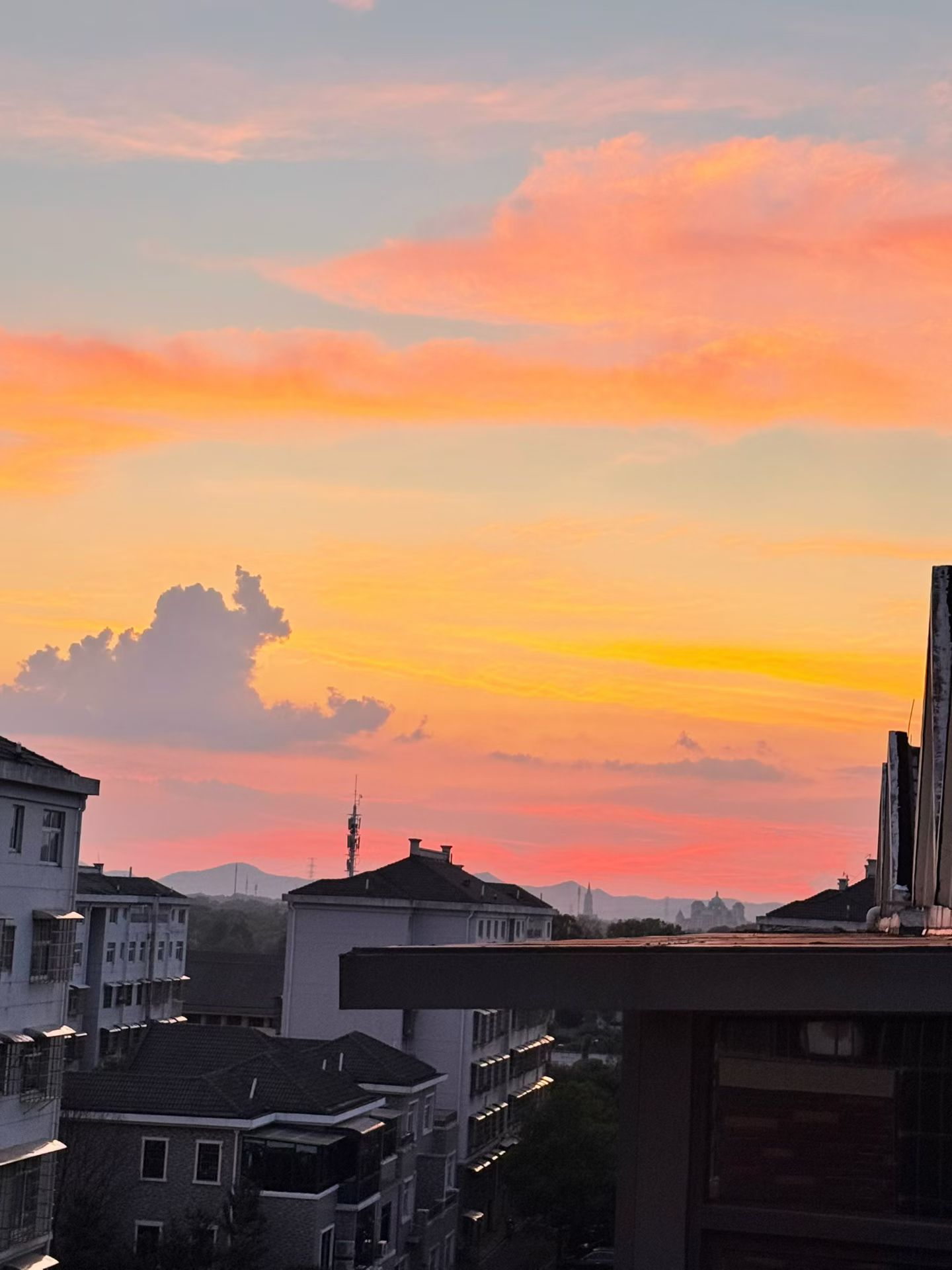 农产品现货交易