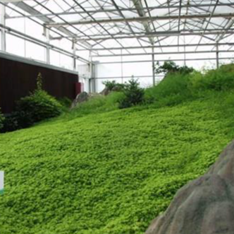 双方协商农业项目先建后付，先建设，再付款，解决客户后顾之忧