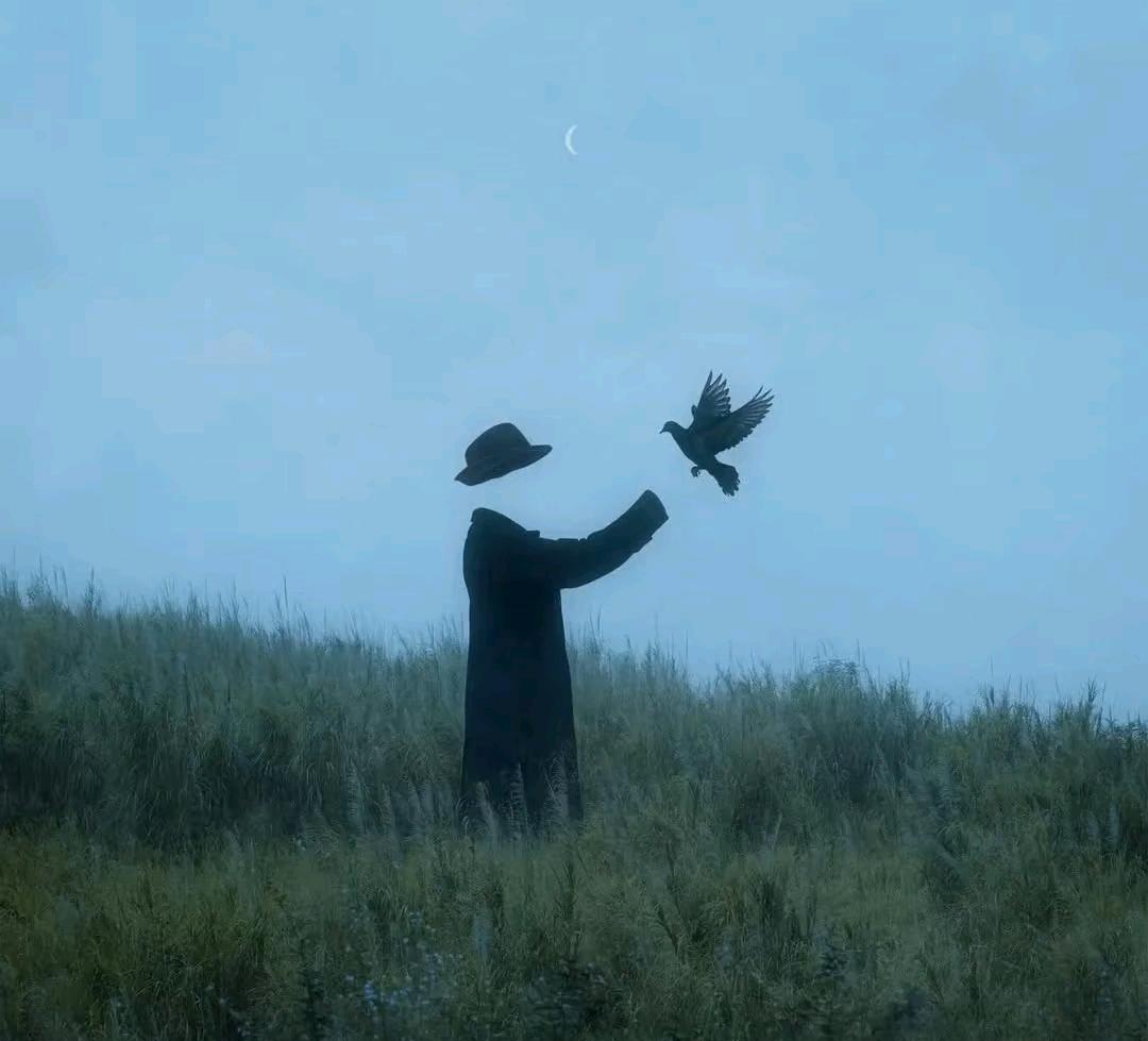 绿色视频号直播带货视频代发