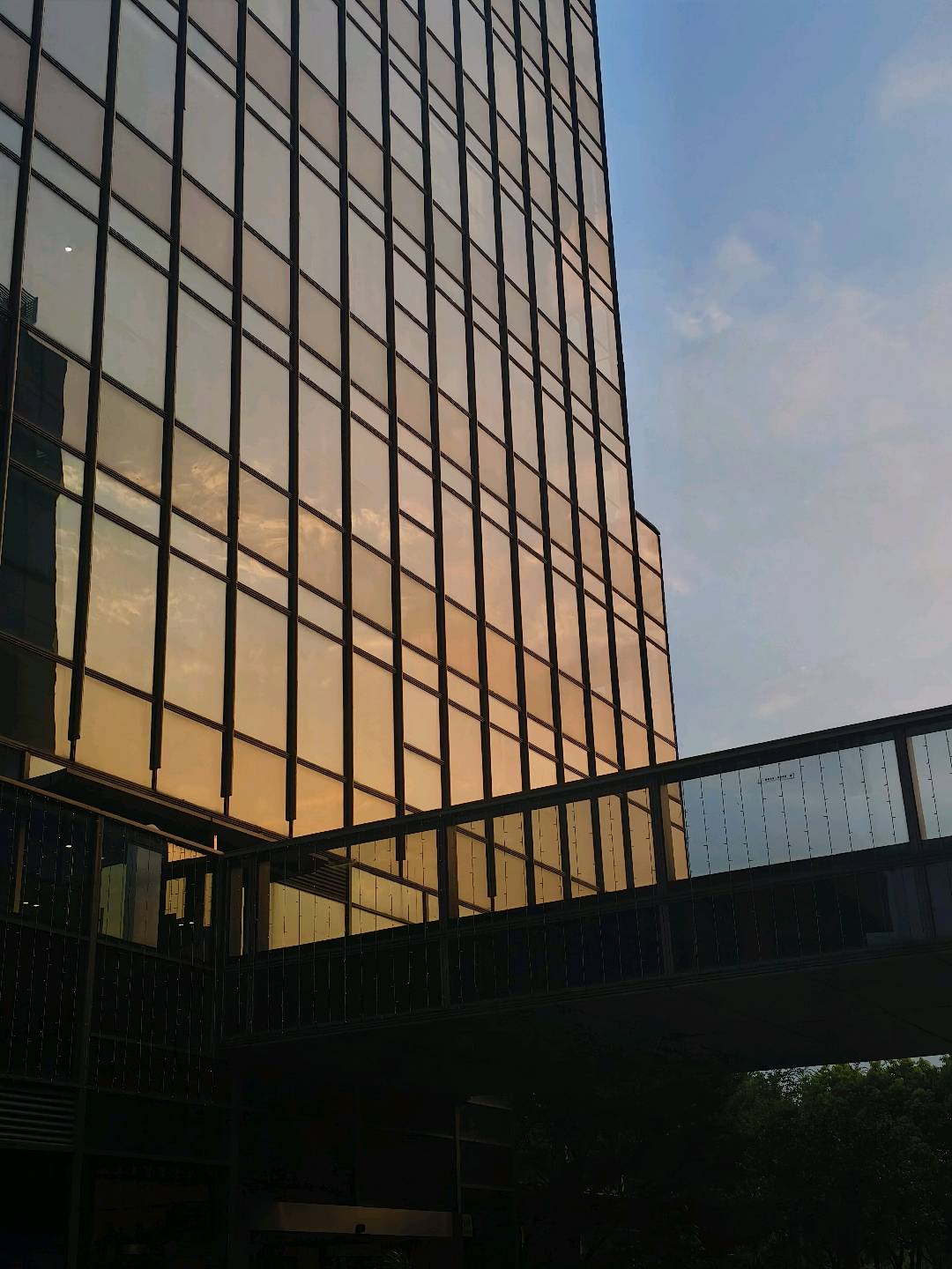 拥有开发团队，需要软件开发客户