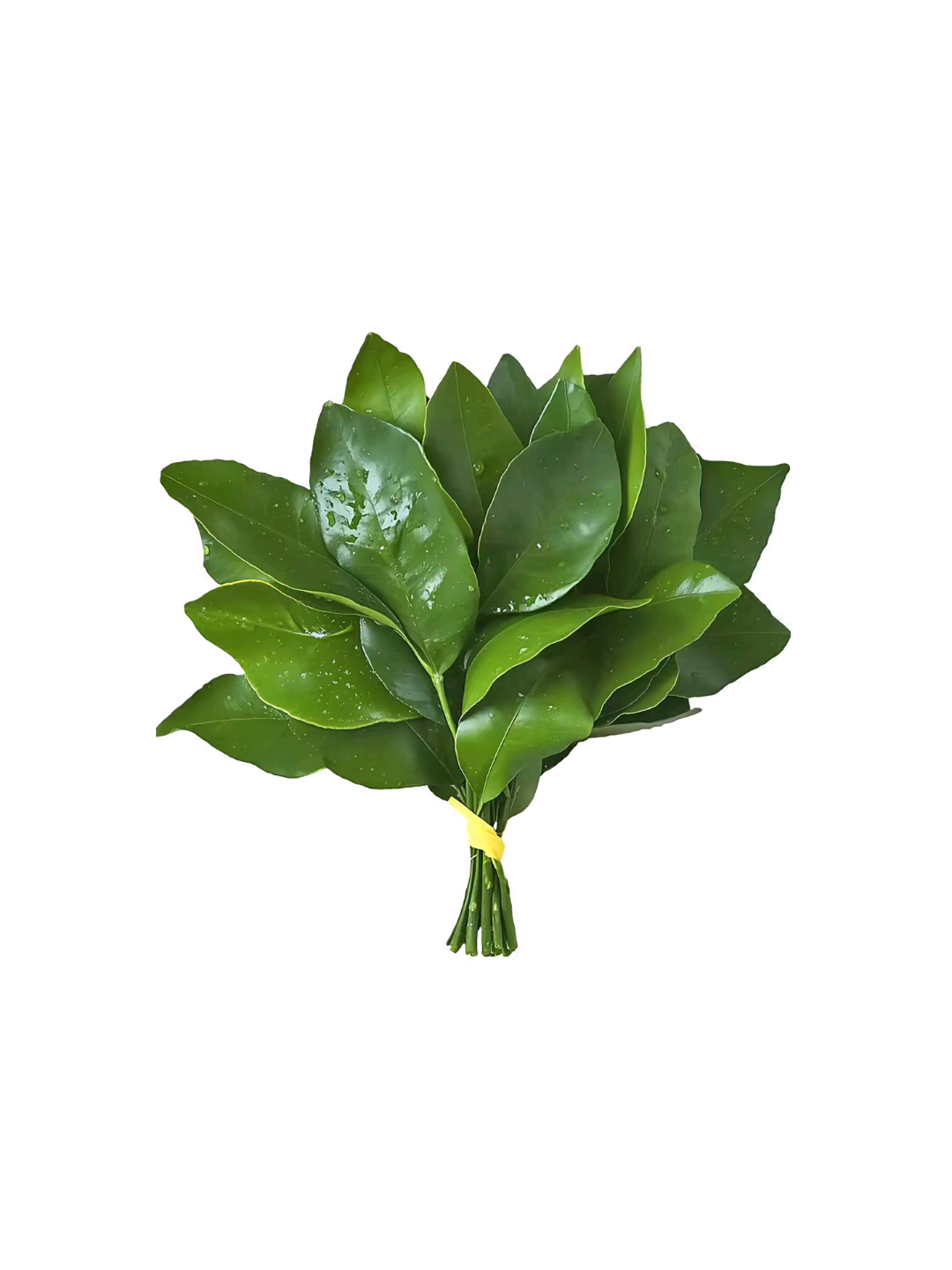 全新玩法，纯绿色合作项目，月入2W+,学生勿扰！