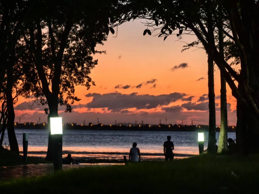 民政居家养老合作招商