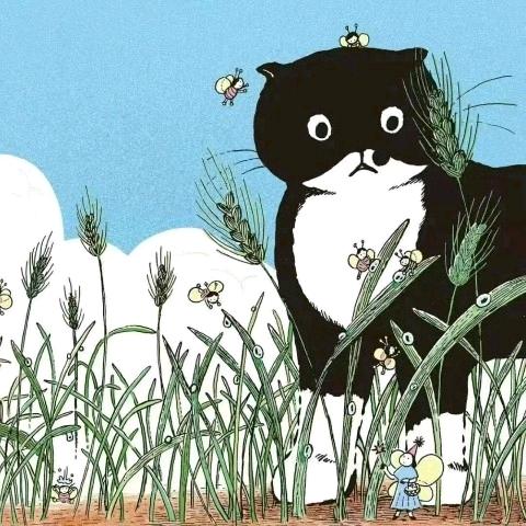 电信卡全网收代理