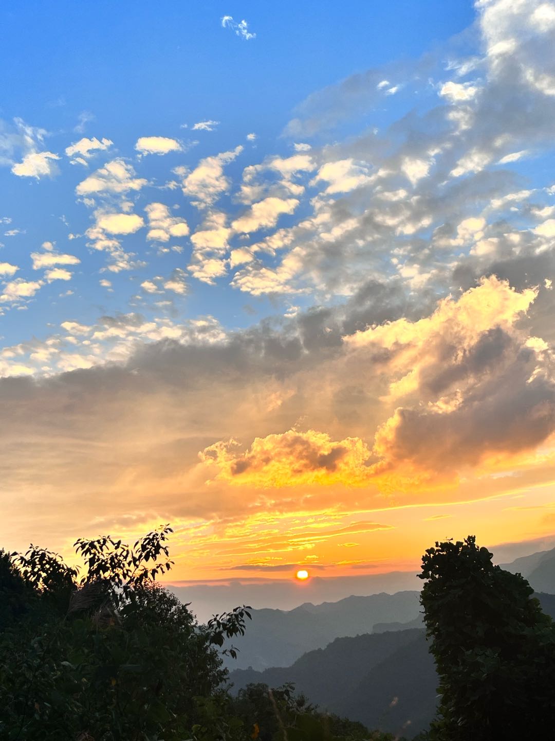 债务优化后端寻找前端合作