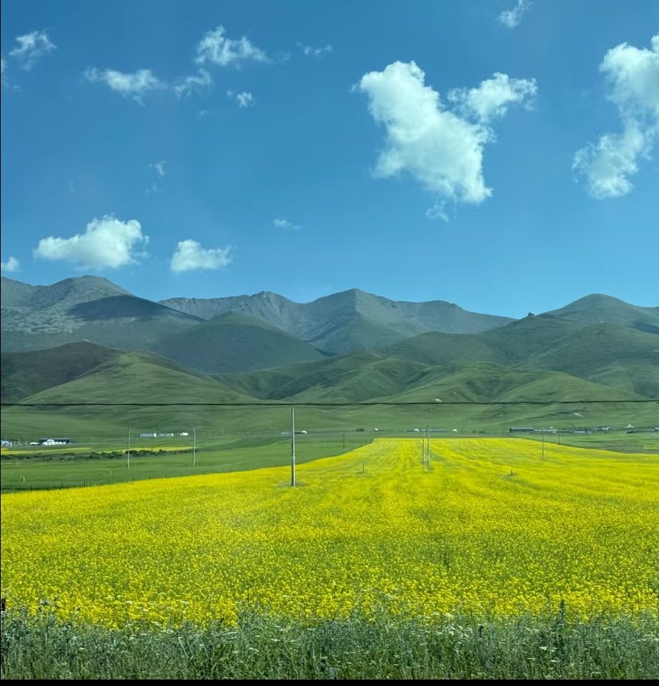 蜂蜜水代销代理销售