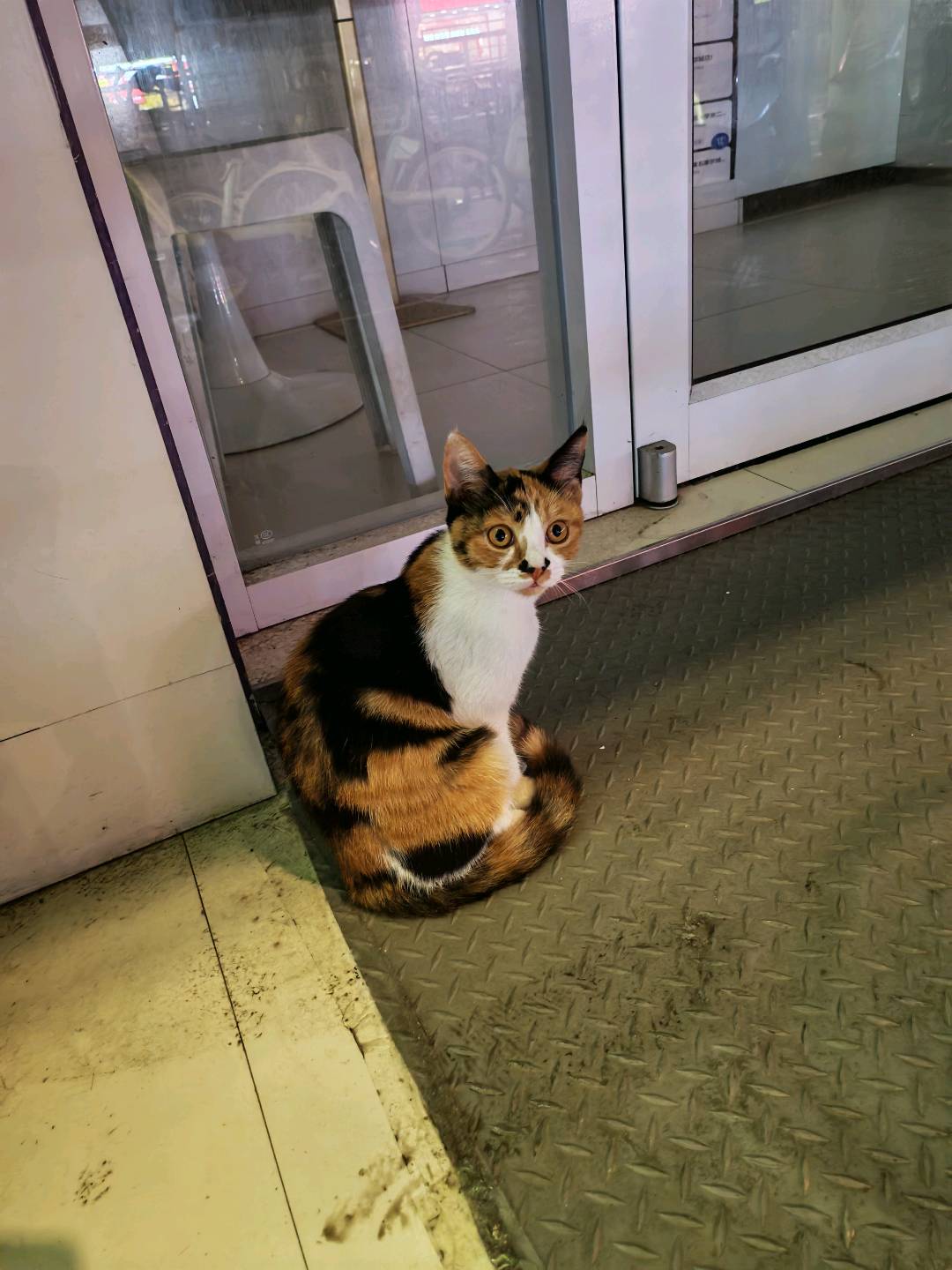 提供免費游戲項目，我出技術你出設備， 收益后分潤